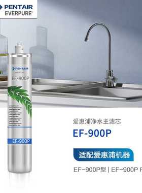 爱惠浦（Everpure） EF-900P 净水机滤芯