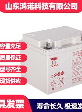 YUASA汤浅蓄电池NP38-12 12V38AH UPS/EPS直流屏配套