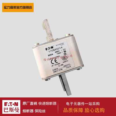 熔断器170M5014 170M5015 170M5016 170M5017 170M5018 170M6008