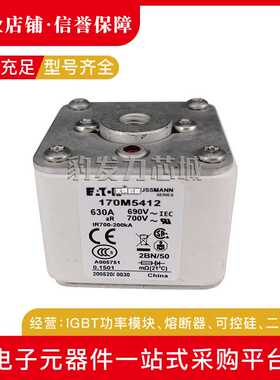 170M5438 170M5439 170M5440 170M5441 170M5442 170M5443熔断器