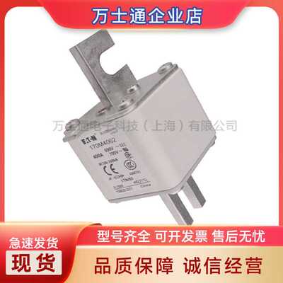 170M4313 170M4314 170M4315 170M4316 170M4317 170M4318熔断器