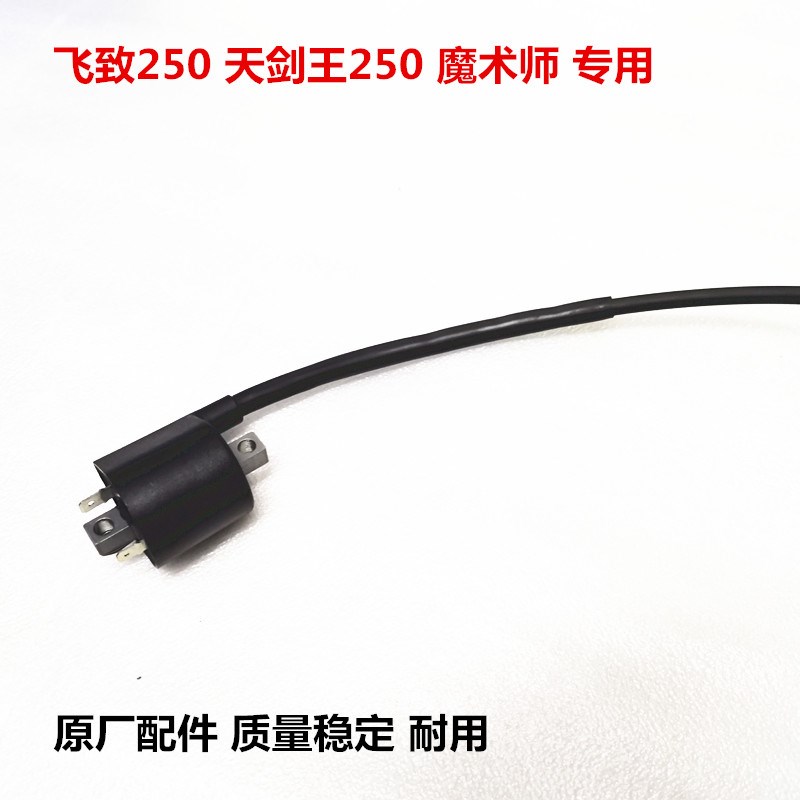 适用雅马哈天剑王 飞致250 魔术师250大陆TTR TTW250 高压包 点火