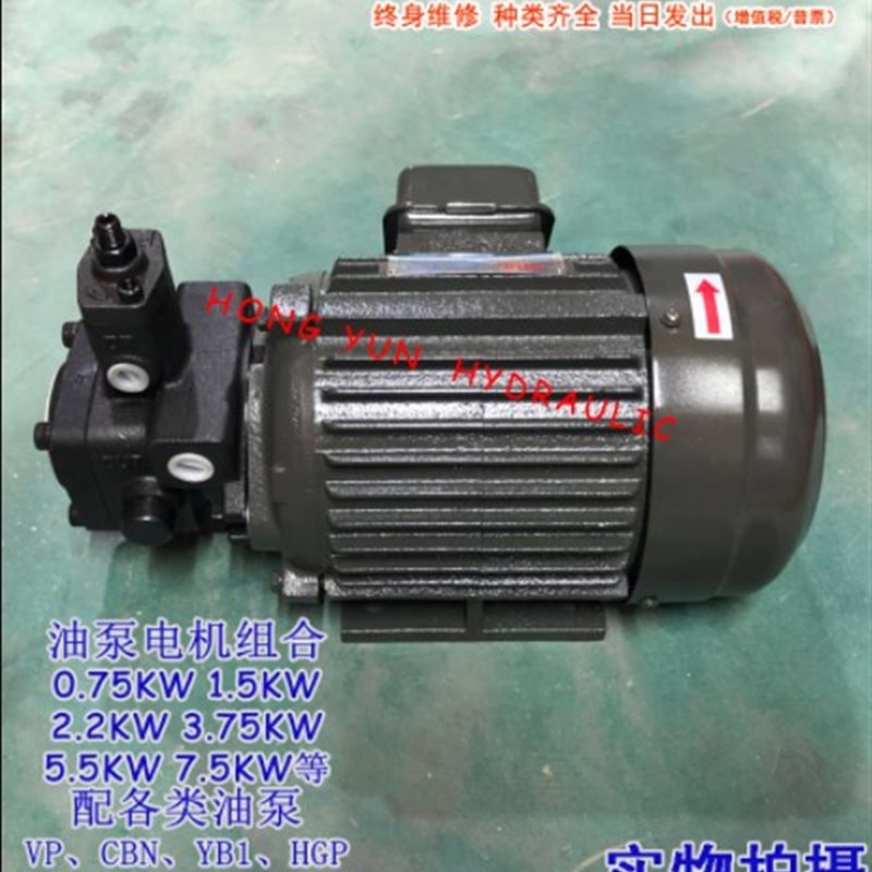 进口电机组0.75KW 1.5/2.2/+VP20/VP40/VP30 VP12 15油泵专用马达