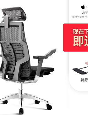 Ergonor保友pofit智能高端电脑椅人体工学椅舒适办公椅电竞椅子
