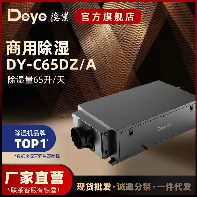 超薄吊顶家用除湿机DY-C65DZ别墅地下车库壁挂除湿器吊顶抽湿机