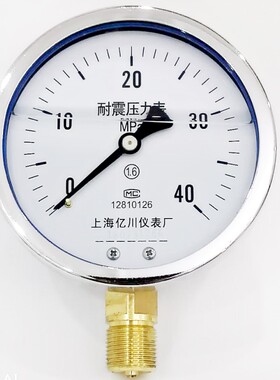 YN100耐震压力表0-1.6/2.5/4/6/10/16/25/40/60MPA抗震防振油压表