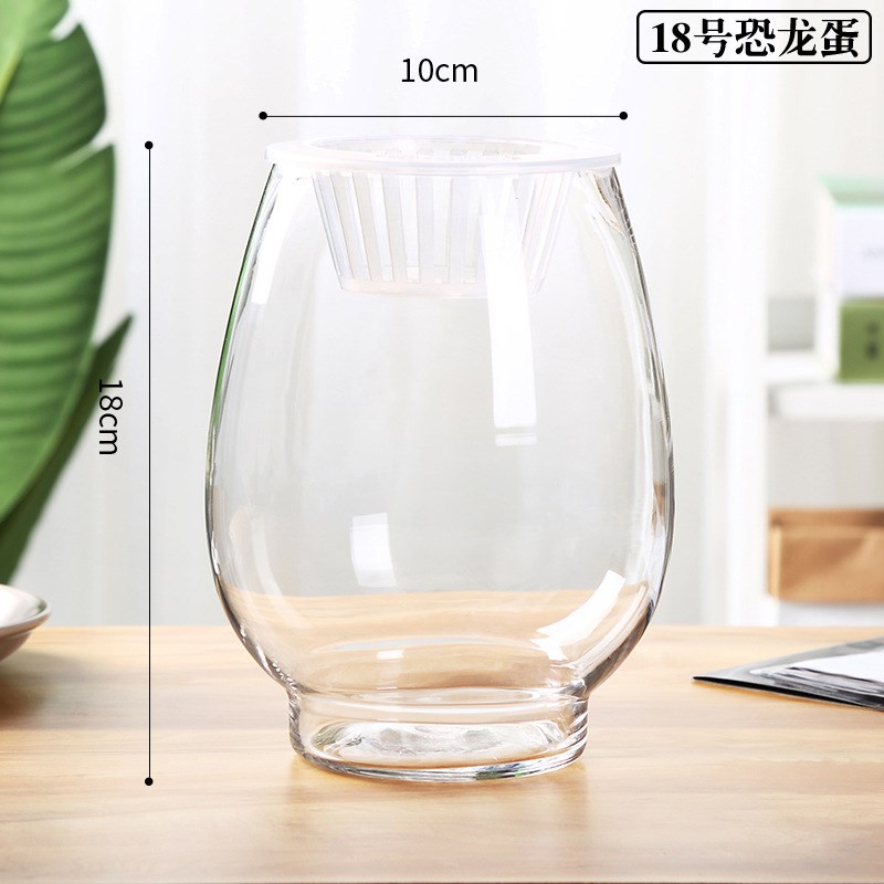 水培植物玻璃瓶透明花瓶水养容器绿萝花盆养鱼器皿大鱼缸室内摆件