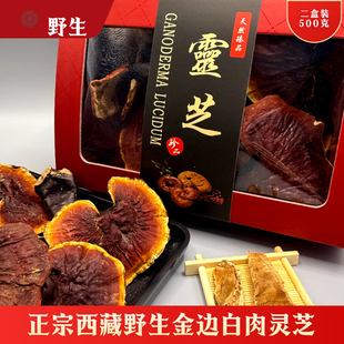 纯野生灵芝西藏正品干货林芝赤芝金边非孢子粉片礼盒装整枝500克