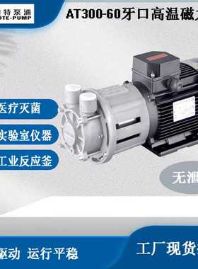 AOTE-PUMP澳特AT300工业反应釜齿轮磁力泵高温油泵不锈钢材质
