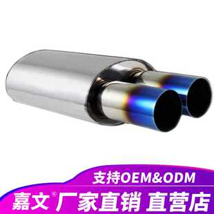 汽车配件制造商椭圆形后端排气消声器，带双蓝色火焰尖端