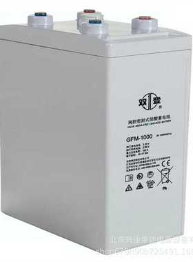 SHOTO双登蓄电池2V500AH双登GFM-500直流屏移动通讯备用电源