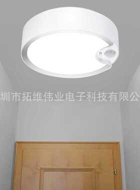 跨境爆款感应电池吸顶灯人体光控感应夜灯 Toowell Ceiling Light