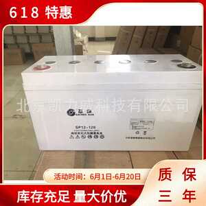 圣阳蓄电池 SP12-80 12V80AH 圣阳SP蓄电池 原装