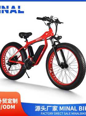 外贸出口MINAL电动自行车FC911 48V350W10.5A 04
