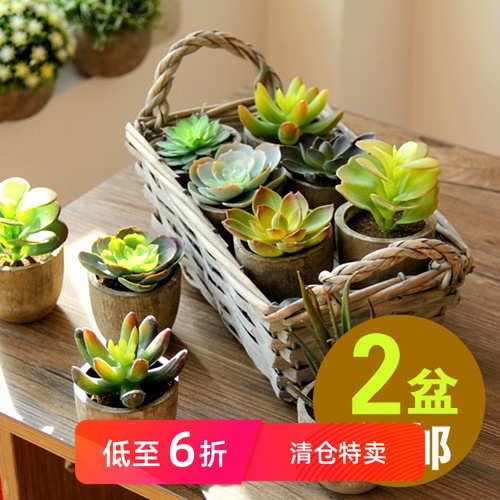 【尚尙】仿真多肉植物盆景 组合盆栽 绿植景天石莲摆件礼物微景观