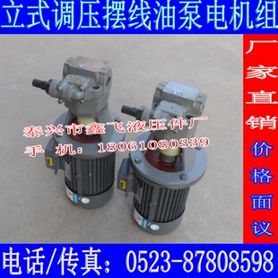 置BB B50YZL摆线油泵装 B63YZL B40YZL摆线转子油泵电机组BB