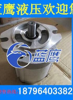 P208R P206R P214R P211R P216RP01DT P219RP P225R齿轮油泵P04DT