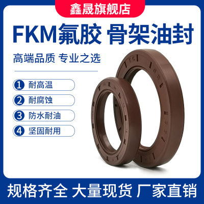 鑫晟TC氟胶骨架油封耐高温耐酸碱耐腐蚀FB丁晴胶内骨架密封圈机械
