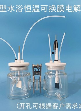 北京精科 CH2015-S H型水浴电解池,双层加热电解槽 密封化学池