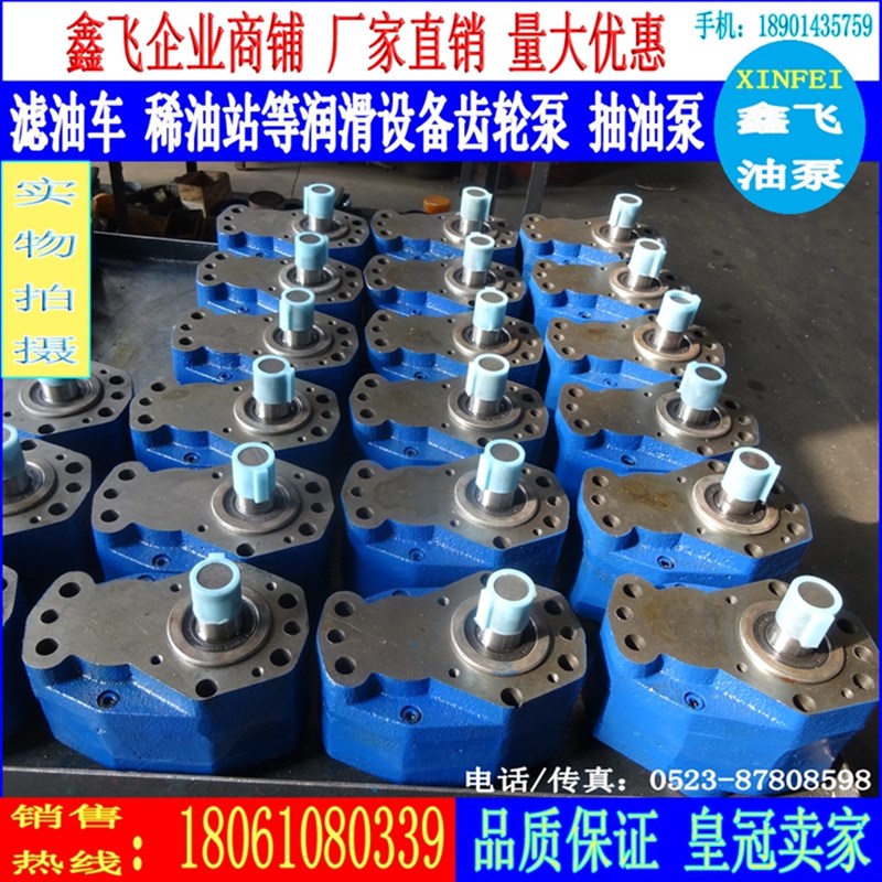 TXCB-B40齿轮泵B50稀油润滑油泵TXCB-B40F TXCB-B50F反向泵/2.5