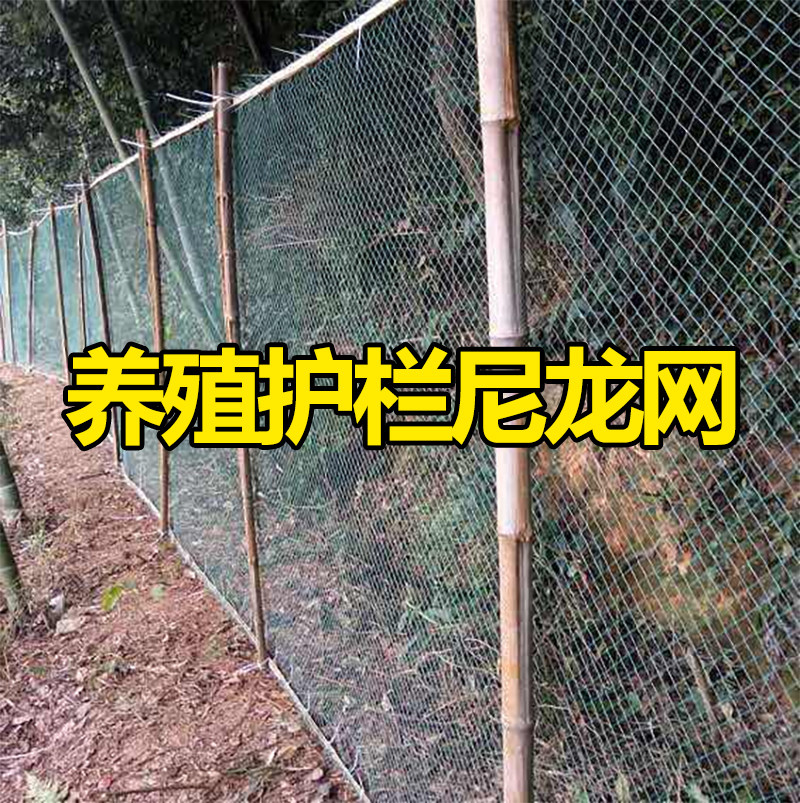 尼龙网防鸟网大棚养鸡养鸡网养殖天网鱼塘果园防鸟网果树鸟用网,办公设备/耗材/相关服务,电工胶带,淘宝优惠券,粉丝福利购,淘宝优惠卷