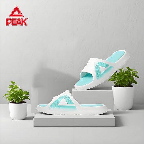 匹克态极男士新款家居外穿拖鞋