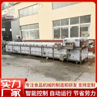 連續(xù)式 商用樹莓預(yù)煮漂燙機 大型橘子蒸汽漂燙設(shè)備 山野菜加工設(shè)備
