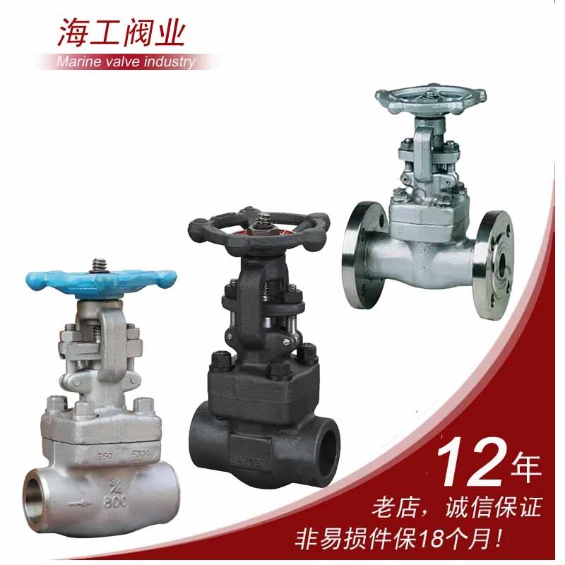 海工锻钢截止阀A105锻钢304不锈钢316L不锈钢310S焊接j61y法兰焊