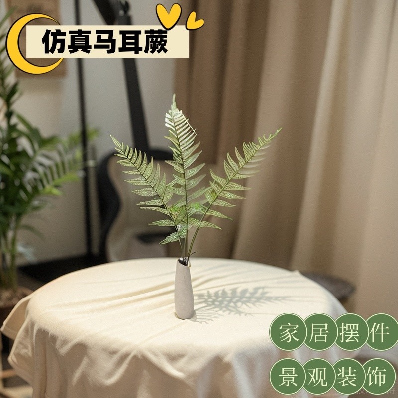 北欧仿真马耳蕨波斯蕨绿植室内造景蕨类植物装饰造景花艺布置,农用物资,苗木固定器/支撑器,淘宝优惠券,粉丝福利购,淘宝优惠卷