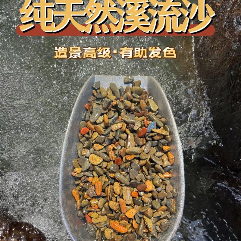 原生缸溪流沙鱼缸造景装饰铺底彩色底砂石乌龟古法缸鳑鲏虾虎河沙,鲜花速递/花卉仿真/绿植园艺,洒水/浇水壶,淘宝优惠券,粉丝福利购,淘宝优惠卷