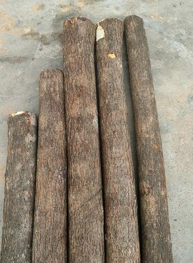 黄栌木料斧头把金黄色纹理用做雕刻手把件盘龙柱的观赏把玩原木棍