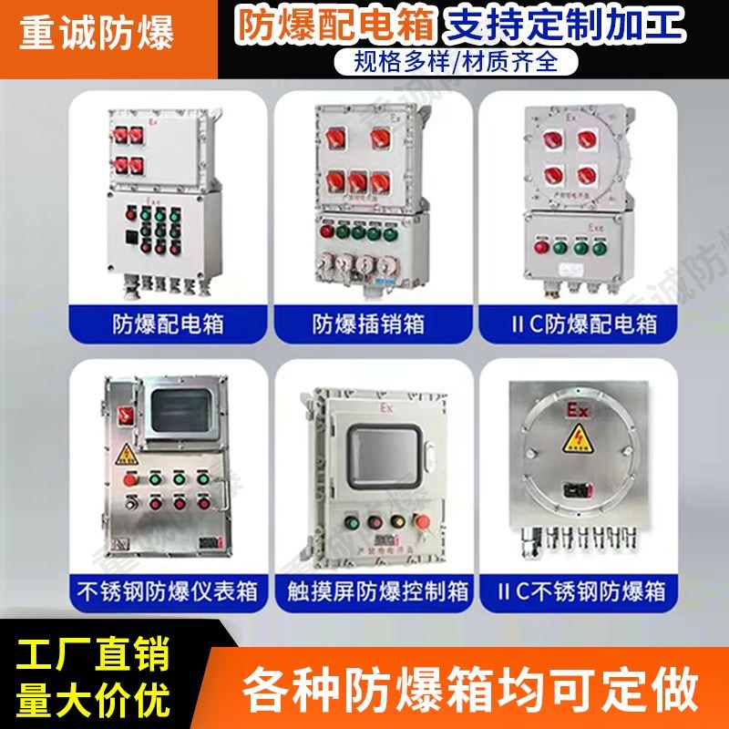 定制防爆配电箱检修插座箱动力电源照明箱仪表接线箱多回路控制箱