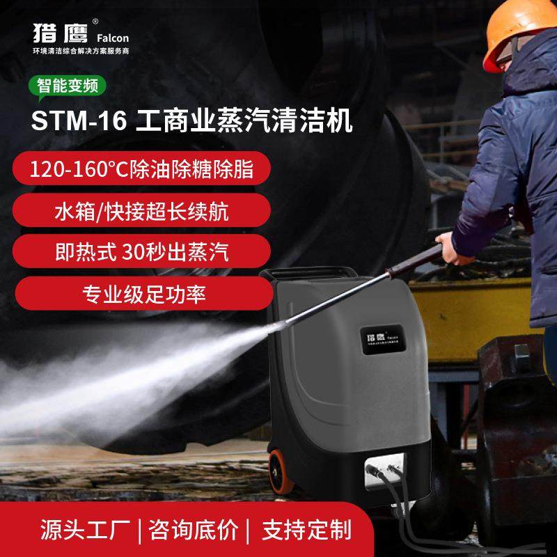 STM-16饱和干蒸汽清洗机工业级大功率除油除脂除糖纯物理清洗