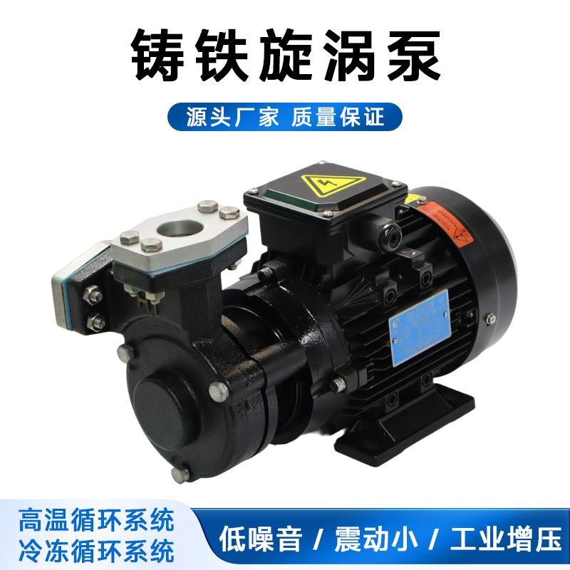 铸铁旋涡泵HY-A4振动小低噪音工业增压化工泵耐低温高温齿轮泵