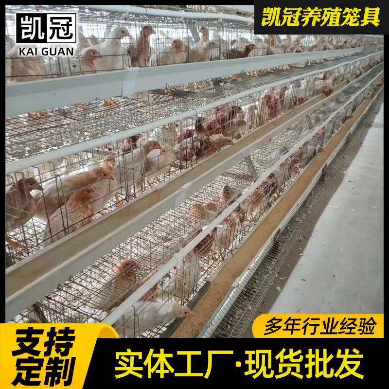 立体三层阶梯式蛋鸡笼全自动蛋鸡养殖笼子组合阶梯式蛋鸡笼子全套