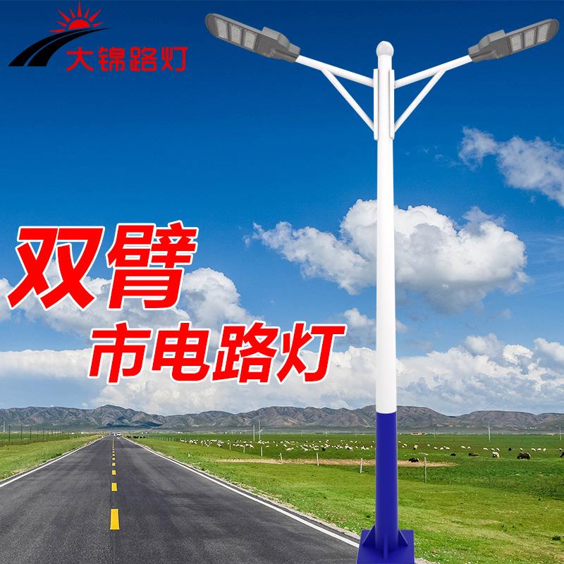 双臂路灯8米9米10米市政工程道路乡村公路大功率led双头模组灯具