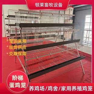 阶梯蛋鸡笼阶梯式A型蛋鸡笼家用养殖鸡笼厂家直发鸡舍农业养殖