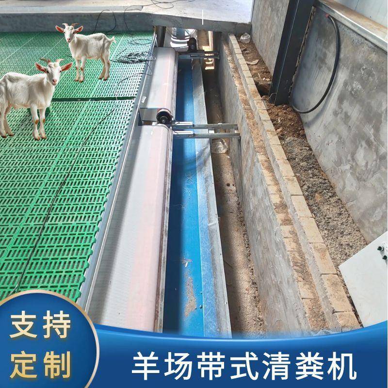畜牧设备羊场用结实耐用PE网格干湿分离自动带式清粪机