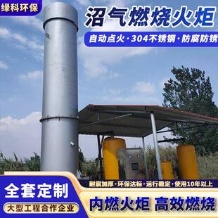 沼气燃烧火炬低氮养殖场污水厂应急内燃式沼气火炬系统厂家定制