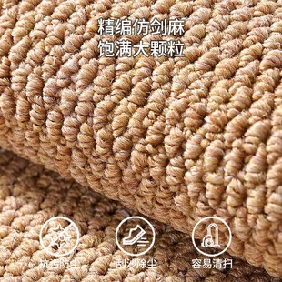 防滑玄关门厅地毯 入户门地垫家用垫子大门口脚垫进门门垫2024新款