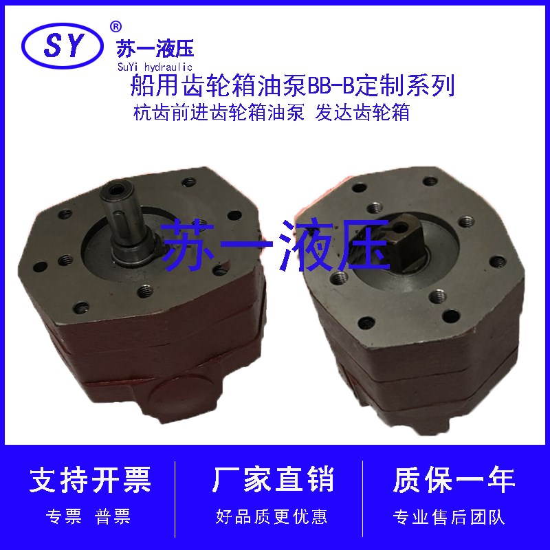 BB-B25A/B16A船用齿轮箱油泵BB-B32A/BB-B20A/BB-B40/B63A杭齿A-1