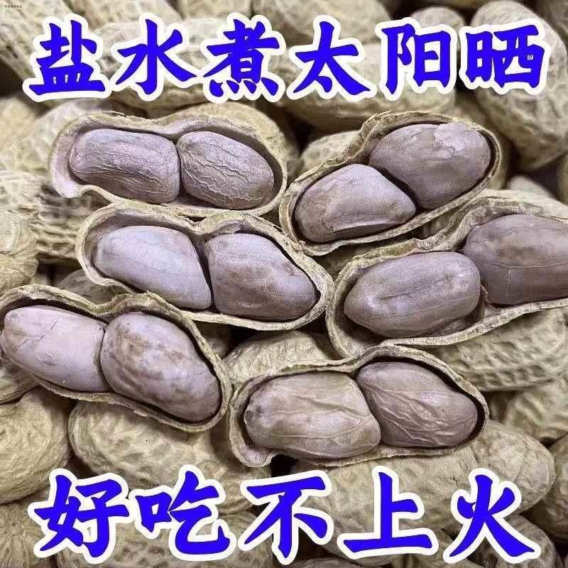 水煮花生龙岩花生新鲜水煮花生白晒干正宗咸香花生带壳花生袋装