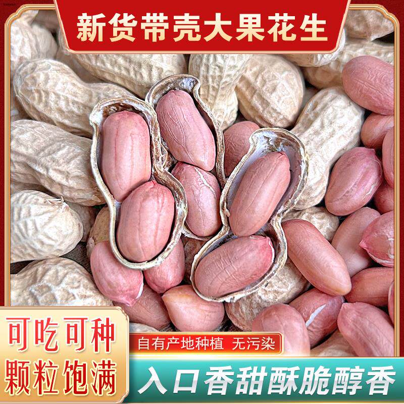 26年新鲜晒干带壳生花生高产薄壳花生种子人工手剥花官方旗舰店生