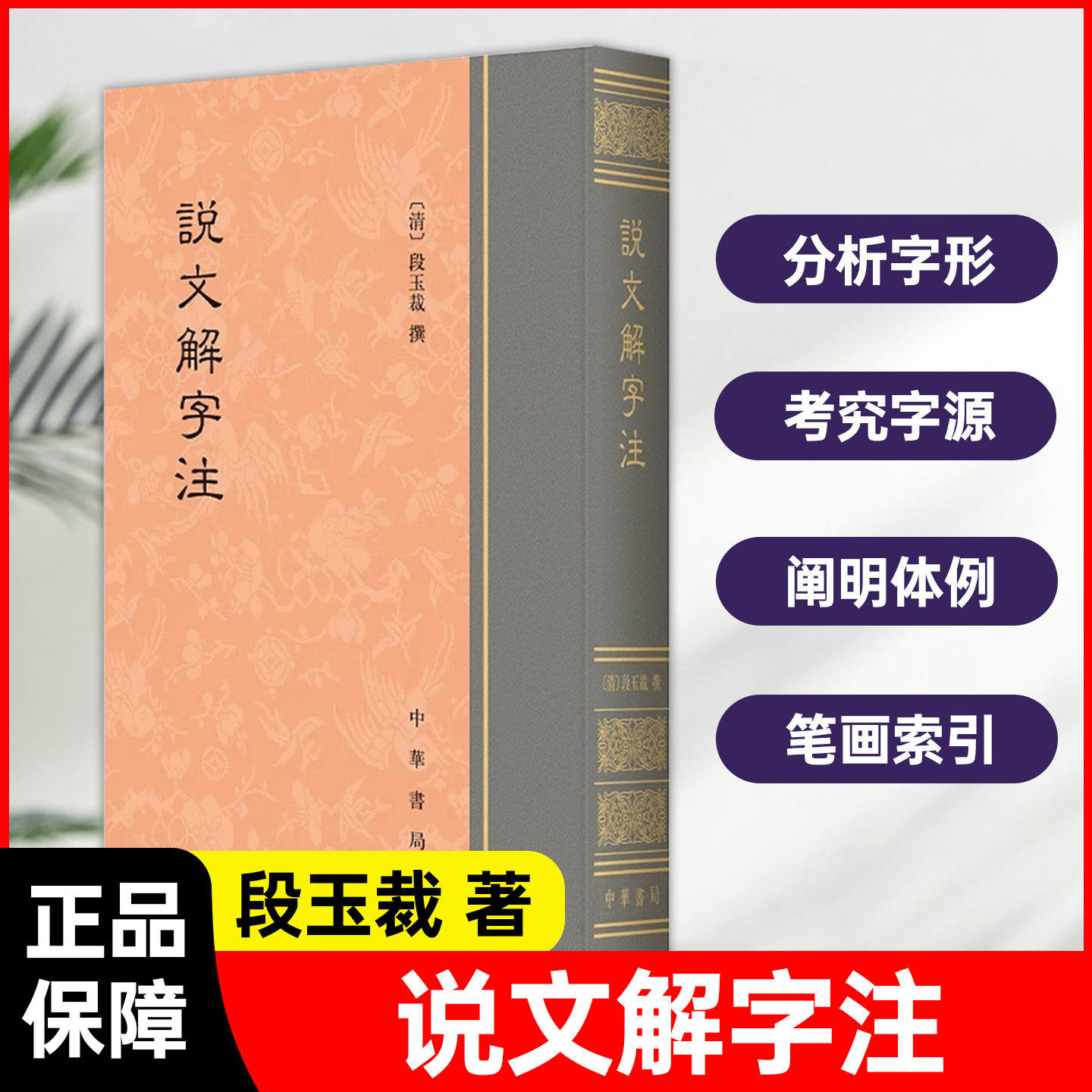 说文解字注 中华书局 清代段玉裁经典古籍文字工具书东汉许慎原著段玉裁集大成注解高校文史专业参考书国学藏书文字研究入门典藏