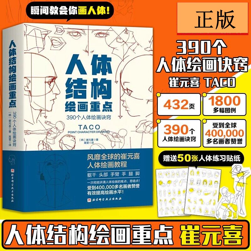 人体结构绘画重点 人体结构 人体绘画 崔元喜 TACO人体 解剖 动画人体结构教程 人体结构绘画教程 绘画技巧 绘画教程图片