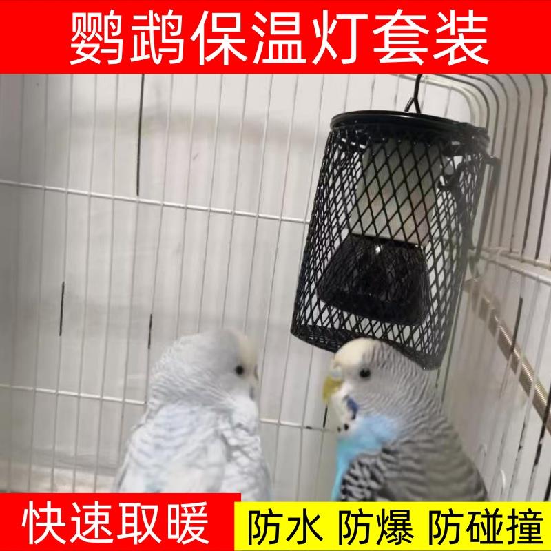 鹦鹉专用保温灯鸟用过冬神器恒温鸟笼冬季保暖灯取暖器陶瓷加热灯