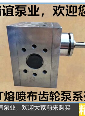 耐高温熔胶泵口罩机泵熔喷布泵RT30CC熔体泵计量泵齿轮泵电加热泵