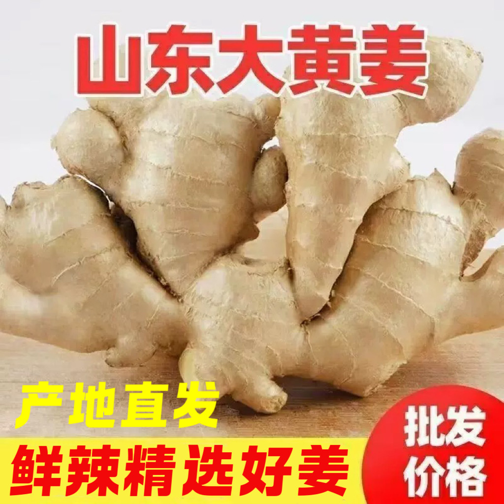 5斤包邮生姜老姜新鲜黄姜大姜风干姜月子姜生姜块老姜母现挖