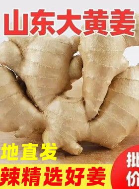 5斤包邮生姜老姜新鲜黄姜大姜风干姜月子姜生姜块老姜母现挖