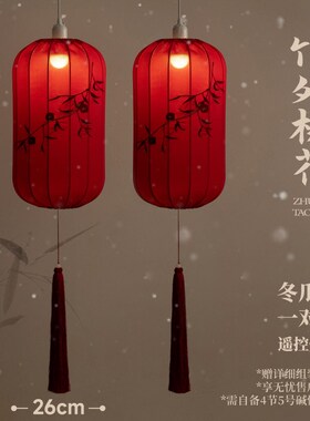 新年红色灯笼挂饰2025新款中式宫灯过年春节庭院阳台门口一对装饰
